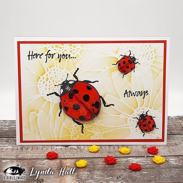 ladybirds and daisy card